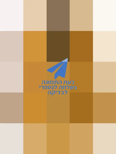 גיטרה קלאסית Martinez | MC-20C