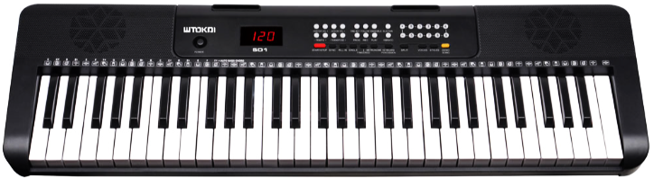 אורגנית Tokai SD1